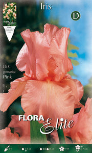 IRIS GERMANICA ROSA (1 Stück pro Packung)