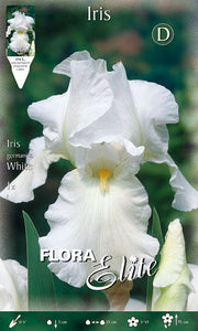 IRIS GERMANICA BIANCO (CONFEZIONE DA 1 BULBO)