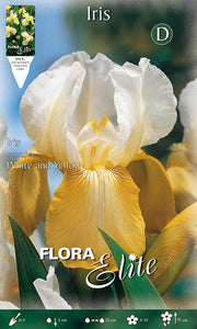 IRIS GERMANICA BIANCO E GIALLO (CONFEZIONE DA 1 BULBO)