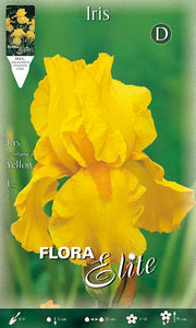 IRIS GERMANICA YELLOW (CONFEZIONE DA 1 BULBO)