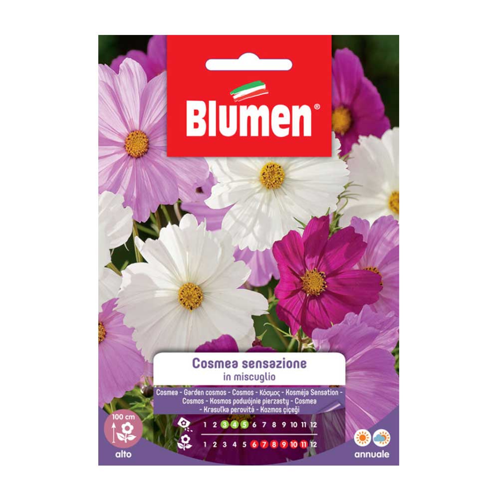 SEMI COSMEA SENSAZIONE MIX BLUMEN