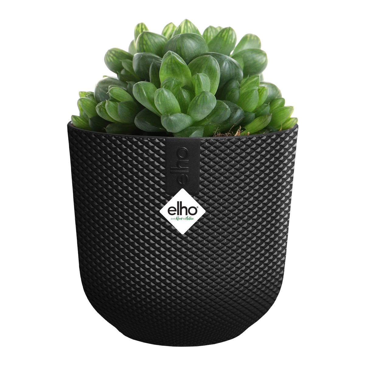 Vaso Jazz Round Mini D 7 x H 7 cm Nero ELHO