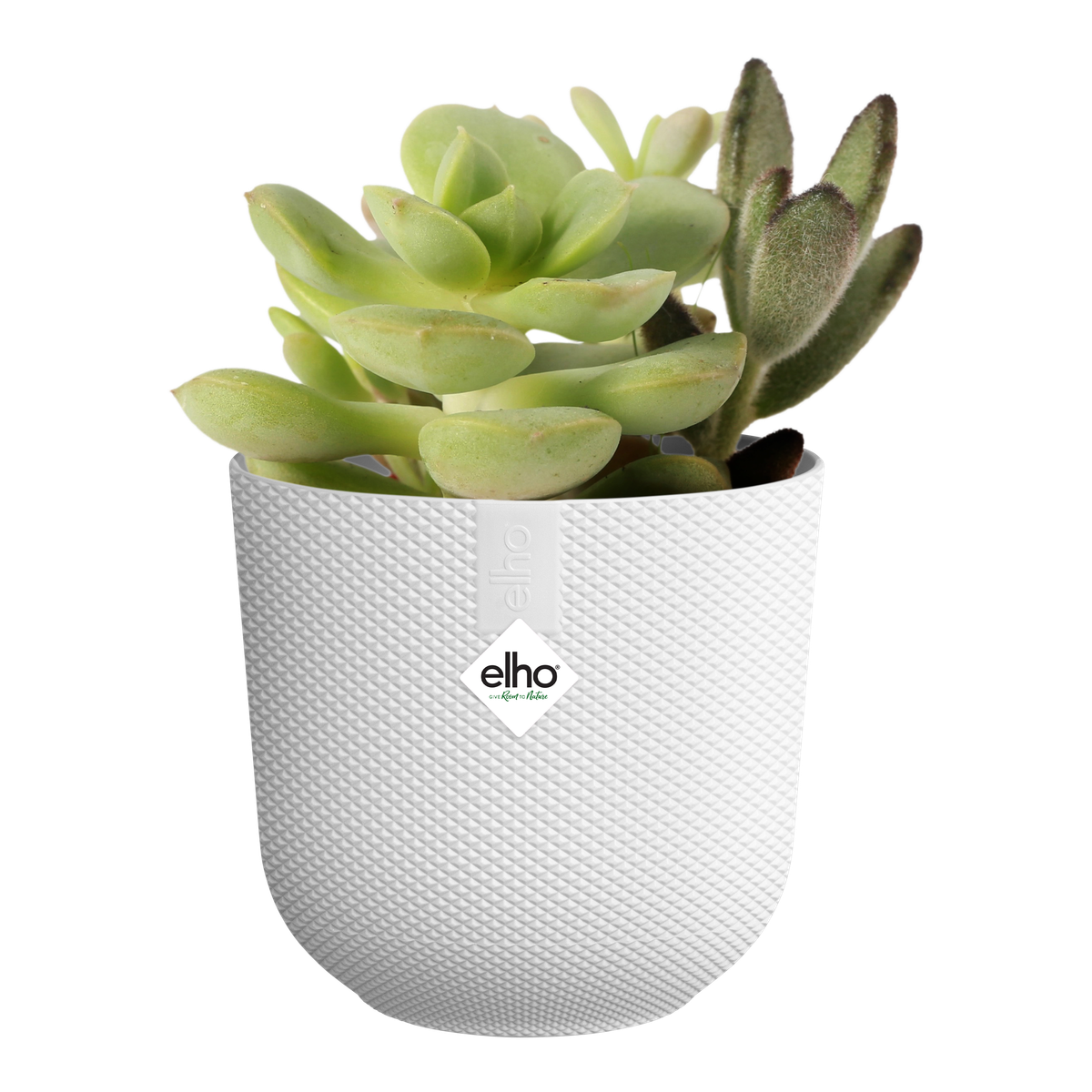 Vaso Jazz Round Mini 11CM Silky White ELHO
