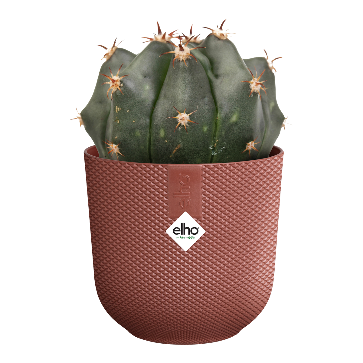 Vaso Jazz Round Mini D 9 x H 9 cm rosso toscano ELHO