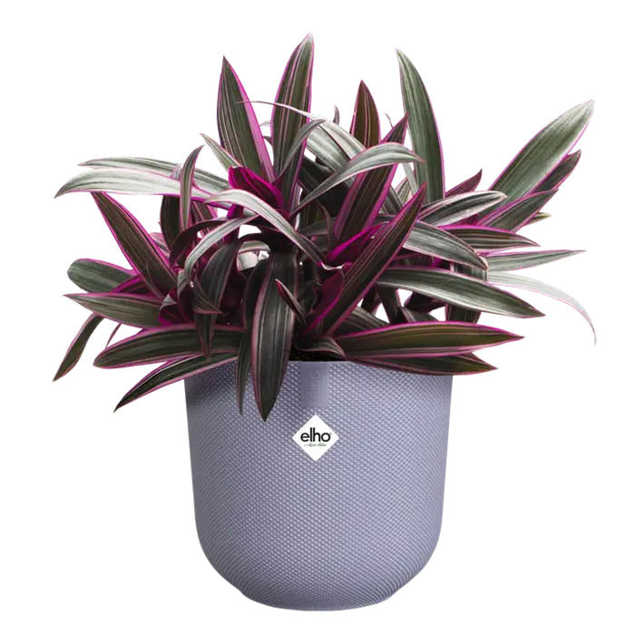 VASO JAZZ ROUND Ø19XH18CM LILLA
