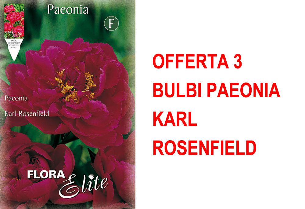 OFFERTA 3 BULBI PAEONIA KARL ROSENFIELD
