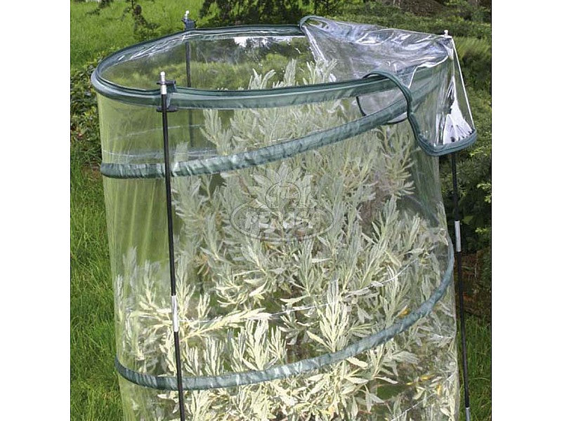 SERRA POP UP ANTHURIUM Ø CM 70 X H 100