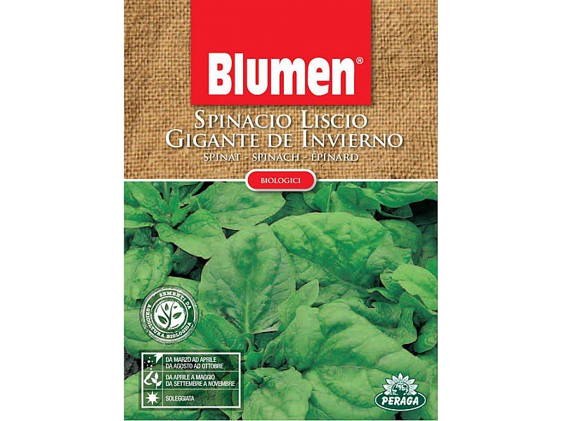 SEMI DI SPINACIO LISCIO GIGANTE BIOLOGICO