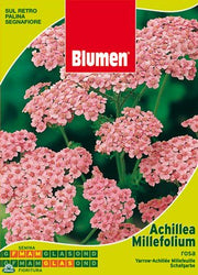 BUSTINA CON SEMI DI ACHILLEA MILLEFOLIUM ROSA