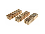 CASSETTA LEGNO CONCHIGLIE 3A