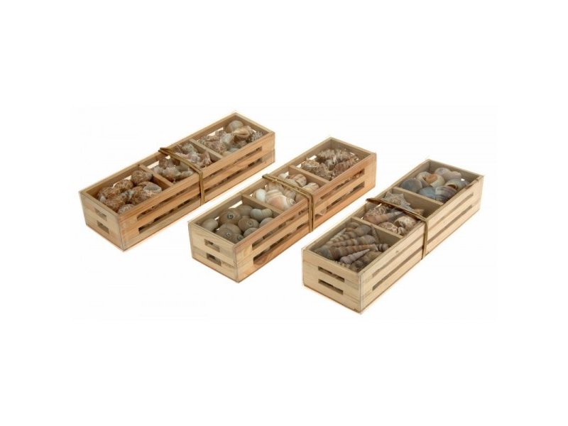CASSETTA LEGNO CONCHIGLIE 3A