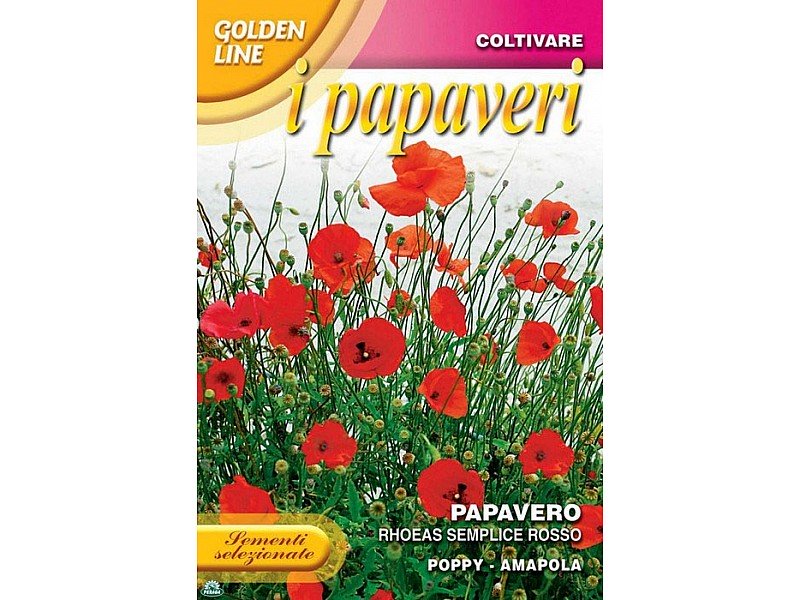 BUSTINA CON SEMI DI PAPAVERO RHOEAS SEMPLICE ROSSO