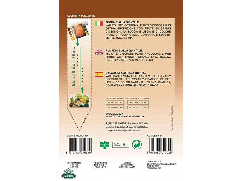 BUSTINA CON SEMI DI ZUCCA QUINTALE
