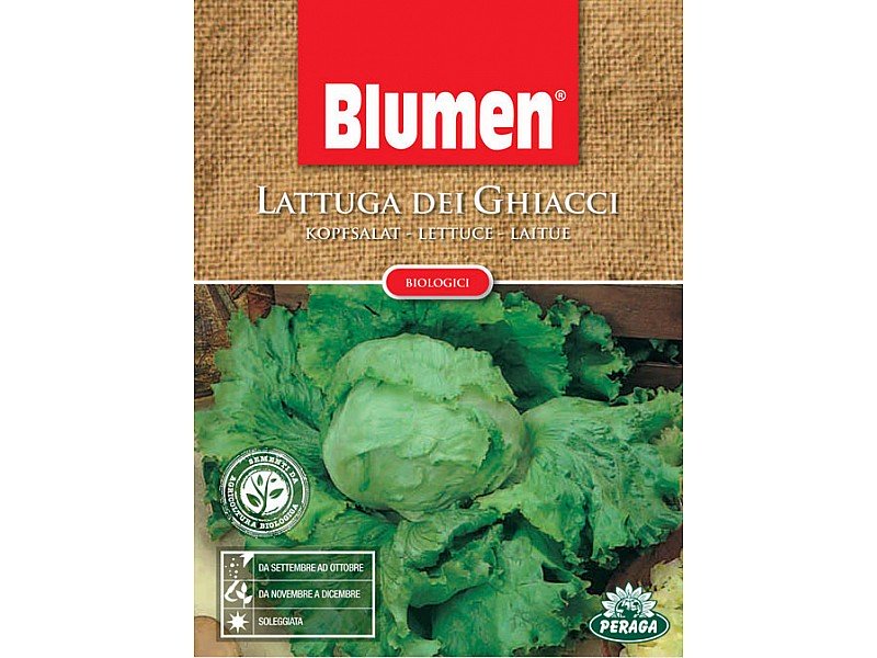 SEMI DI LATTUGA DEI GHIACCI ICEBERG BIOLOGICA