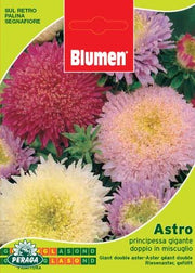 BUSTINA CON SEMI DI ASTRO PRINCIPESSA GIGANTE DOPPIO IN MISCUGLI