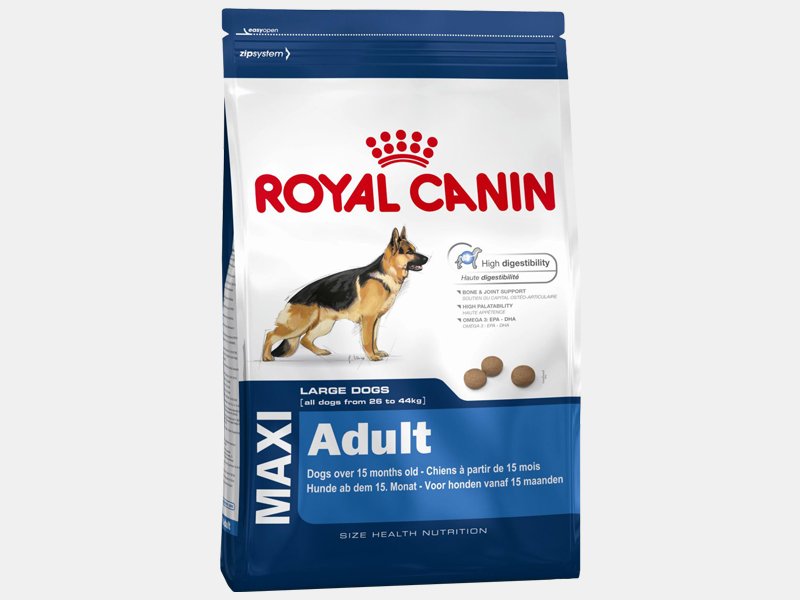 ROYAL CANIN MAXI ADULT PER CANI ADULTI