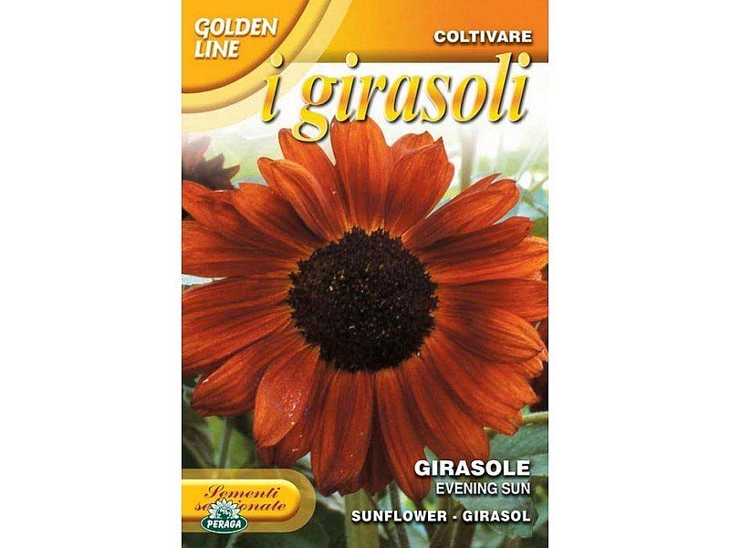 BUSTINA CON SEMI DI GIRASOLE EVENING SUN