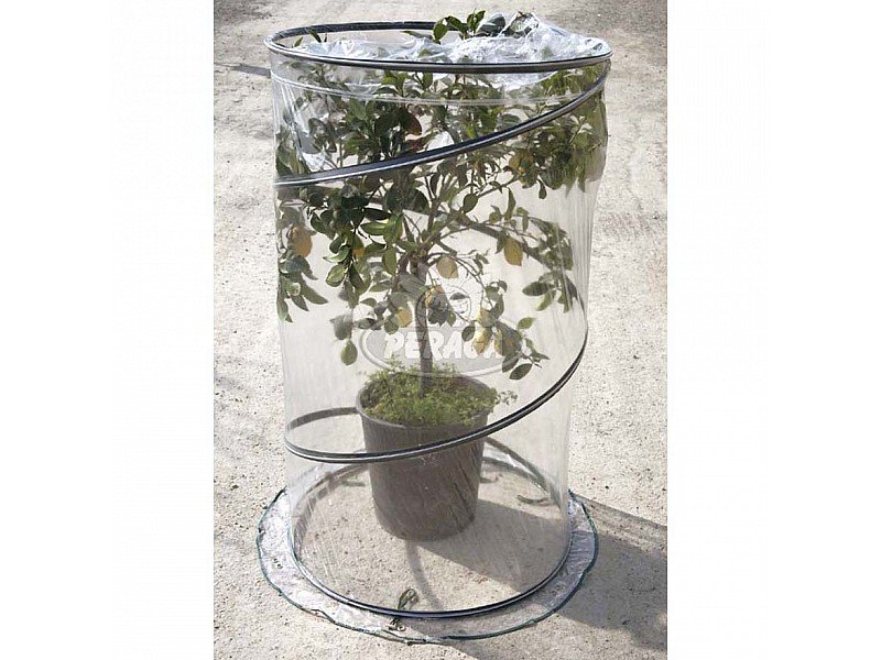 SERRA POP UP CITRUS Ø CM 90 X H 150