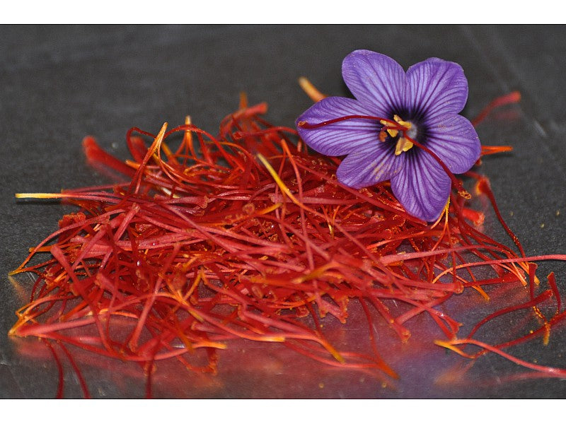 OFFERTA 100 BULBI DI CROCUS SATIVUS ZAFFERANO