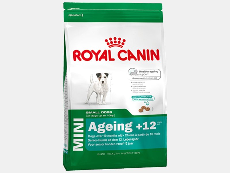 ROYAL CANIN MINI AGEING 12+ PER CANI ANZIANI