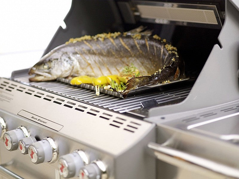 WEBER SUMMIT S-670