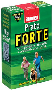 PRATO FORTE VIGOROSO E CALPESTABILE 1KG