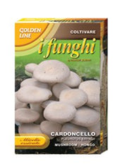 MICELIO ESSICATO DI FUNGO CARDONCELLO CONFEZIONE DA 100 GR