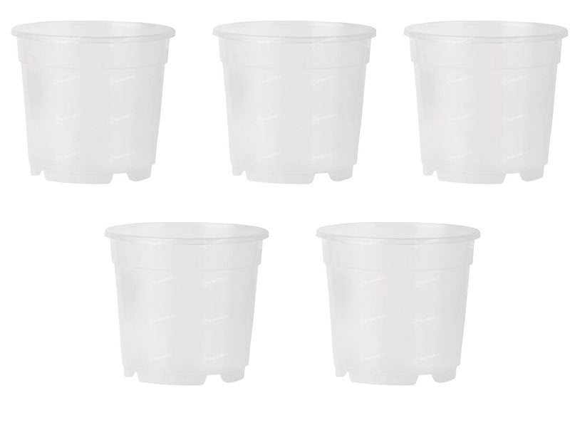 5 VASI PER ORCHIDEE Ø17CM TRASPARENTI