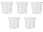 5 VASI PER ORCHIDEE Ø14CM TRASPARENTI