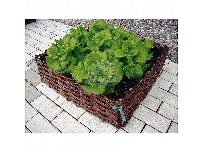 CONTENITORE PER FIORI E ORTAGGI MODELLO GRANDE IN SALICE