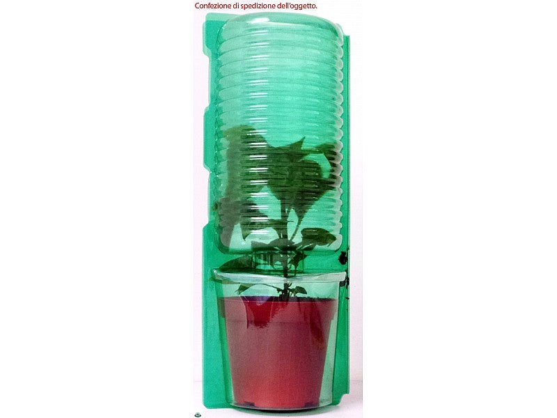 PIANTA DI POMODORO SAN MARZANO INNESTATO (IN VASO Ø14CM)