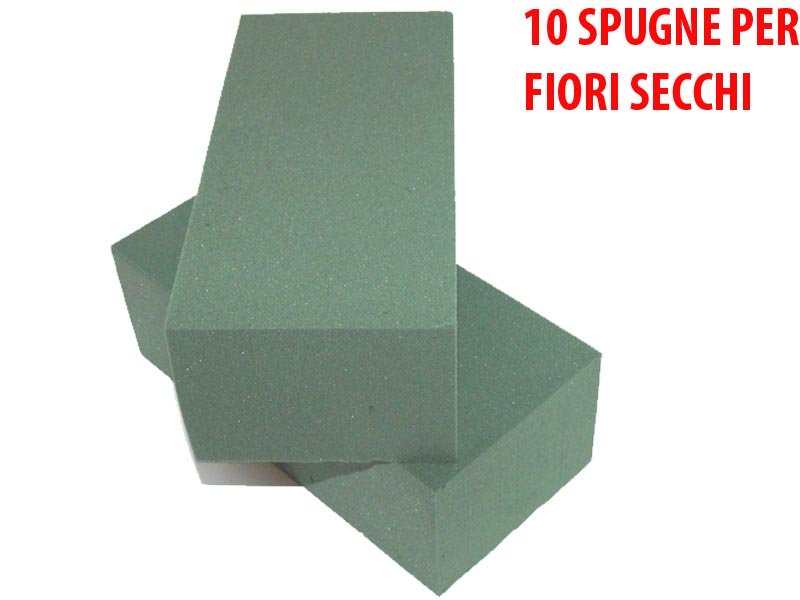 10 SPUGNE PER FIORI SECCHI