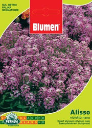 BUSTINA CON SEMI DI ALISSO VIOLETTO NANO