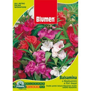 BUSTINA CON SEMI DI BALSAMINA O BEGLIUOMINI A FIORI DOPPI