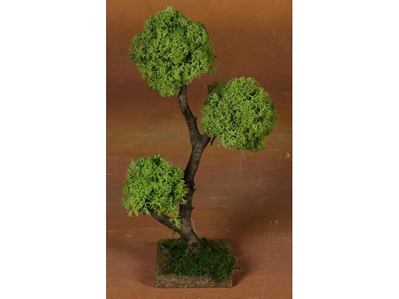 ALBERO LEGNO H.27CM C/LICHENE