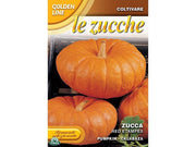 BUSTINA CON SEMI DI ZUCCA RED ETAMPES