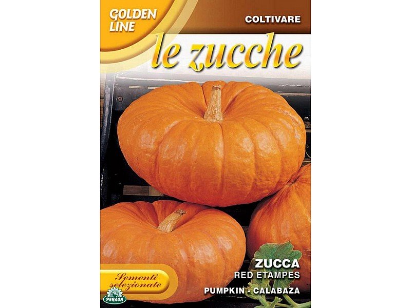 BUSTINA CON SEMI DI ZUCCA RED ETAMPES