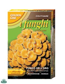 MICELIO ESSICATO DI FUNGO DELL'ORO CONFEZIONE DA 100GR.