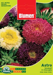 BUSTINA CON SEMI DI ASTRO BOUQUET IN MISCUGLIO
