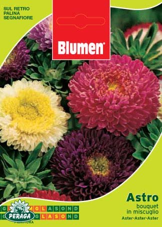 BUSTINA CON SEMI DI ASTRO BOUQUET IN MISCUGLIO