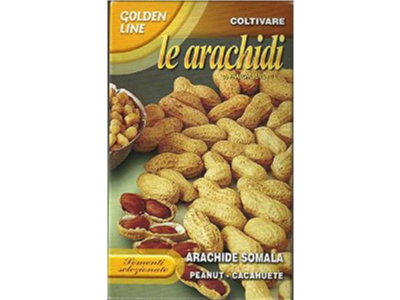 SCATOLA DA 50GR CON SEMI DI ARACHIDE SOMALA