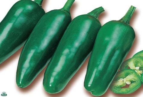 ROTE HABANERO-PAPRIKAPFLANZE (IM 14-CM-TOP)