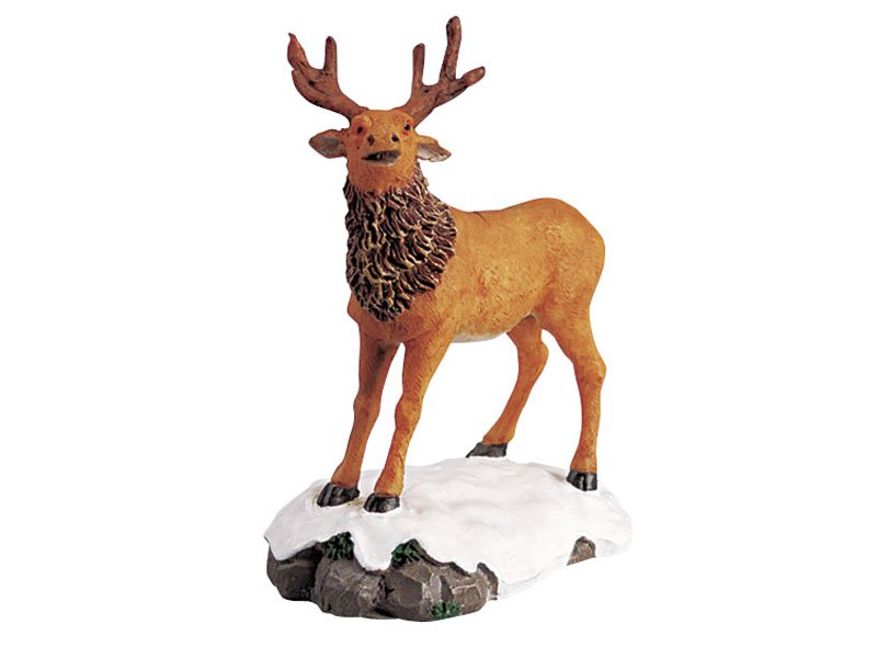 CERVO - STAG