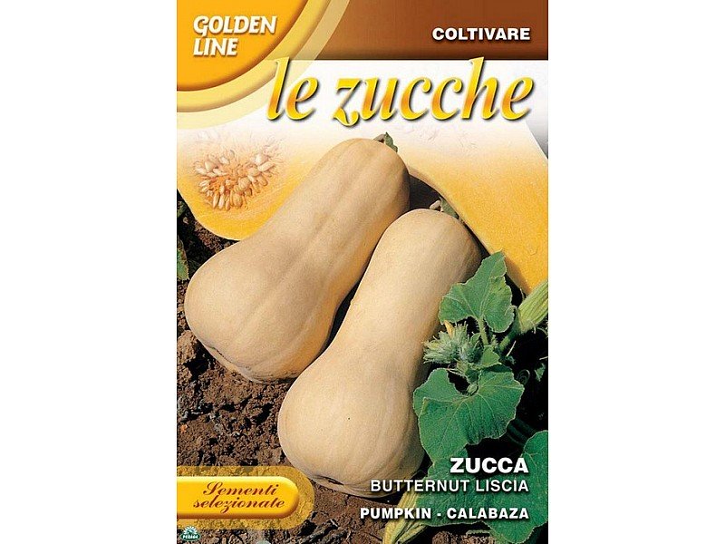 BUSTINA CON SEMI DI ZUCCA BUTTERNUT LISCIA