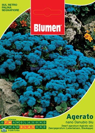 BUSTINA CON SEMI DI AGERATO NANO DANUBIO BLU