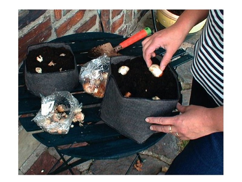 5 VASI PIEGHEVOLI 3-4 LITRI PLANTBAG