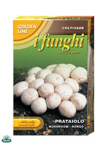 MICELIO ESSICATO DI FUNGO PRATAIOLO CONFEZIONE DA 100GR.