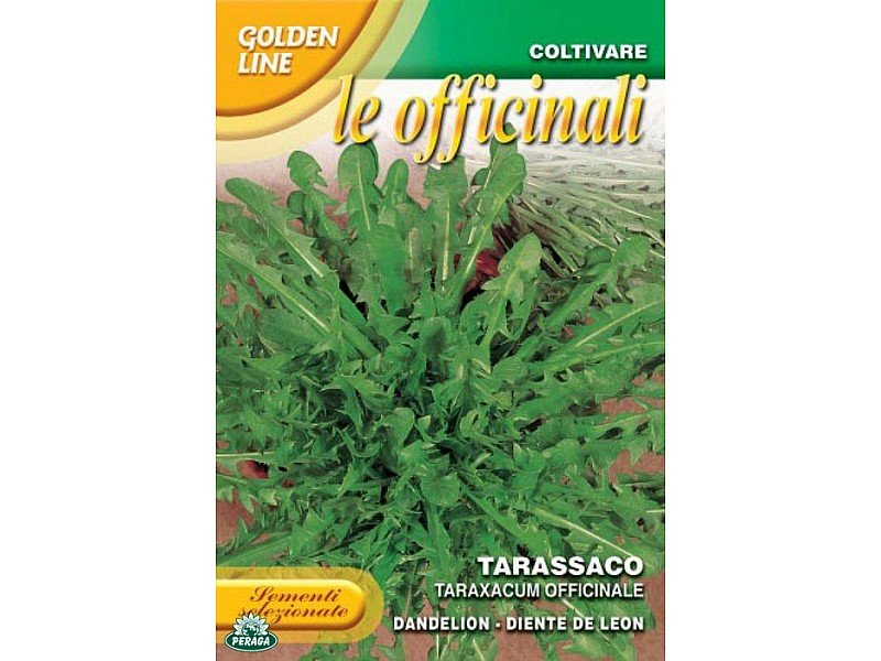 BUSTINA CON SEMI DI TARASSACO OFFICINALE
