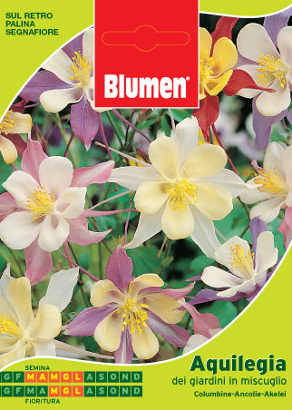 BUSTINA CON SEMI DI AQUILEGIA DEI GIARDINI IN MISCUGLIO