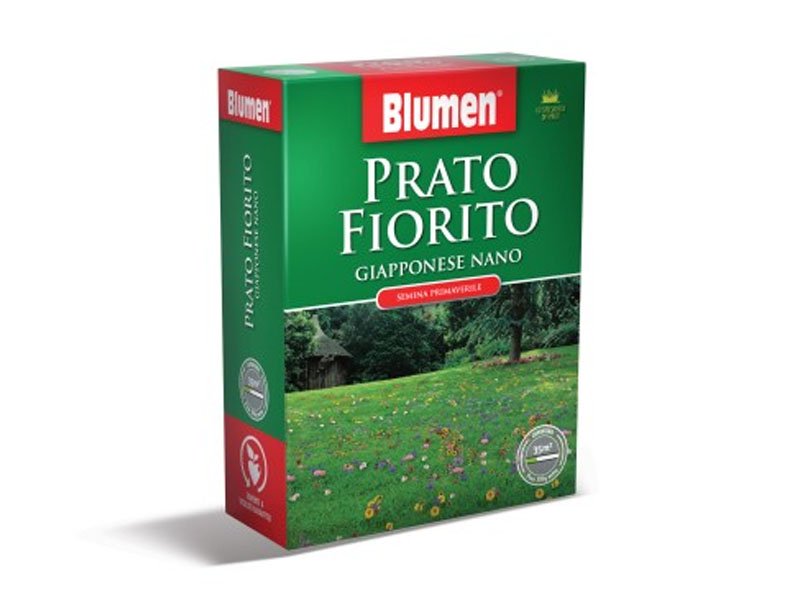 PRATO FIORITO GIAPPONESE NANO 500GR
